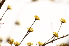 空に向かって