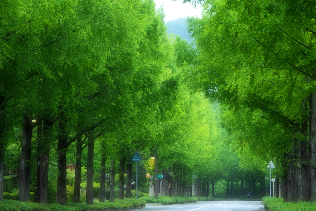 くもり時々雨