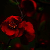 Deep Red