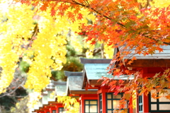 列