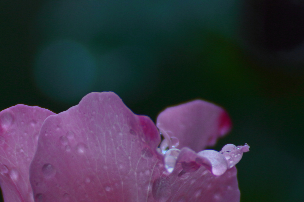 涙あふれて