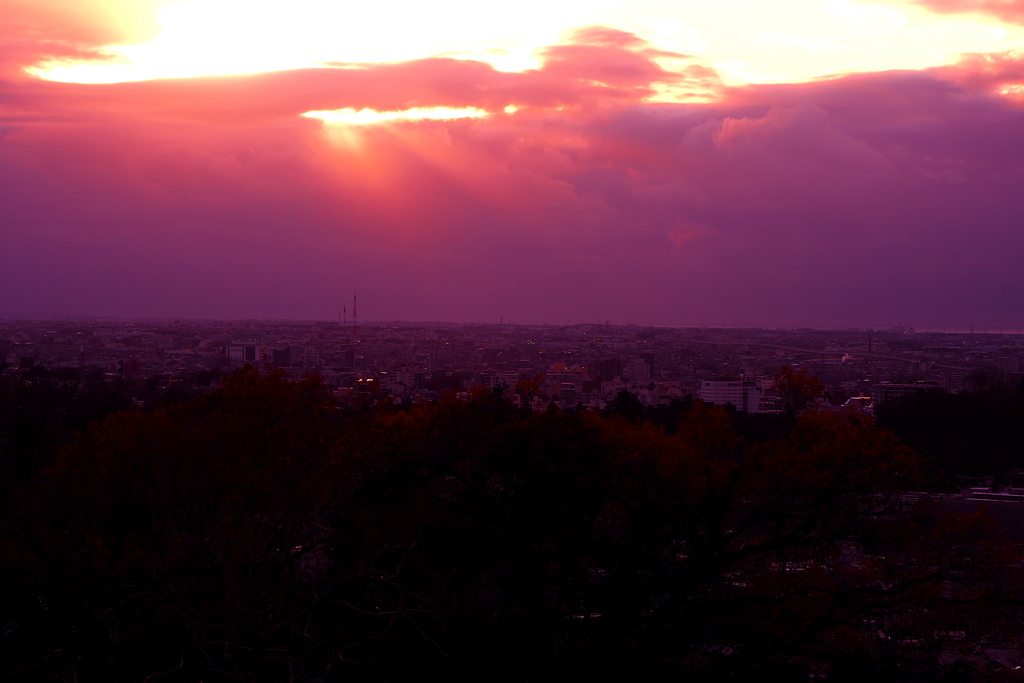 紫の時空