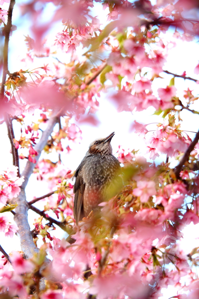 わぁ♡