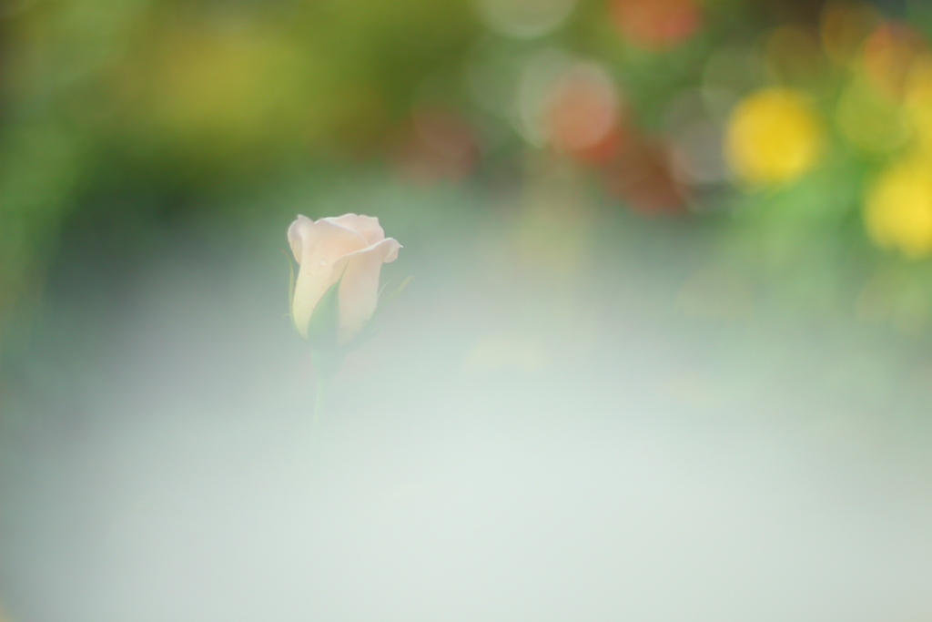 花園