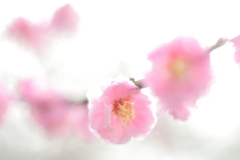 たしかなこと
