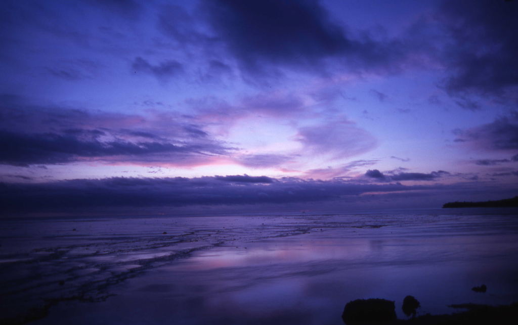blue fiji