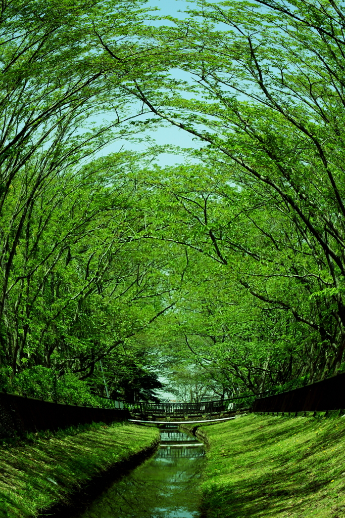 あふれる光を浴びながら