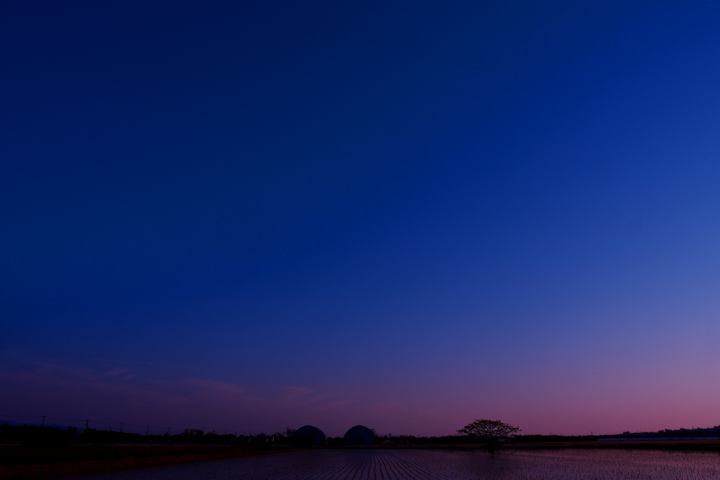 蒼空