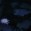 色のない世界に