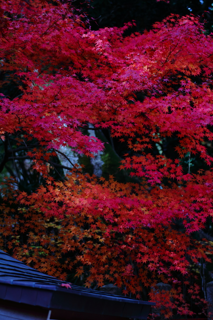 覆