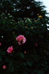 ・・・しーっ！