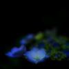 藍より蒼く
