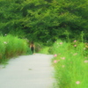 犀川日常