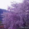 記憶の中の原風景