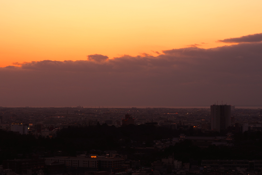 夕暮れ時は寂しそう