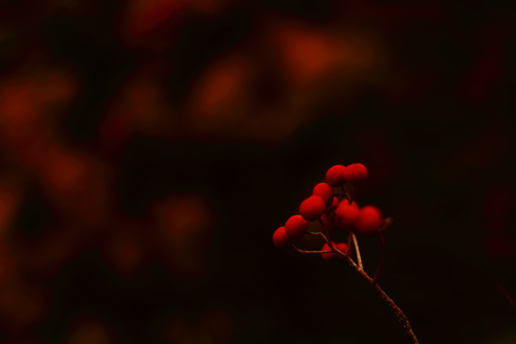 紅葉を背に