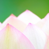 薄紅に染まる峰々