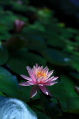 suirenⅡ