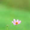 あの頃