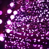 冬の桜吹雪