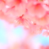 うつろい