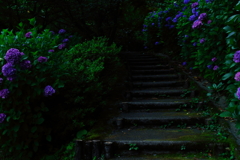 青の階段