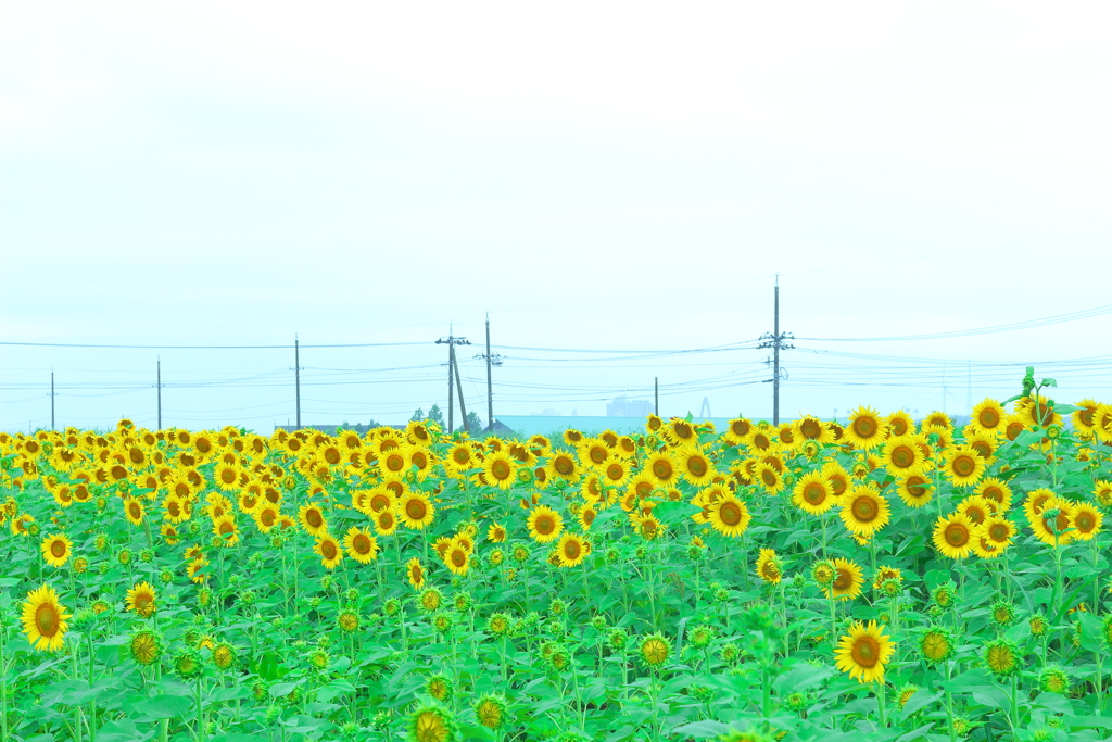 空が明るくなってきた