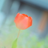 夢の続きを