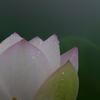 夏の終わりⅢ