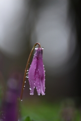 雨の日には・・・