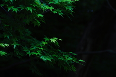 あなた色