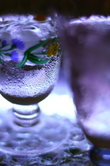 Purple night