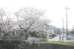 いつかの街で
