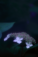 静寂