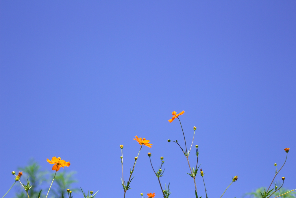 空はまるで