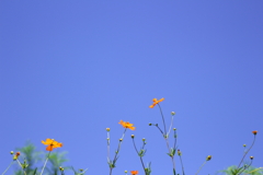 空はまるで