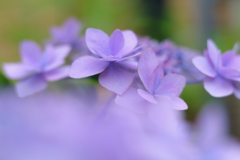 幻想の蒼