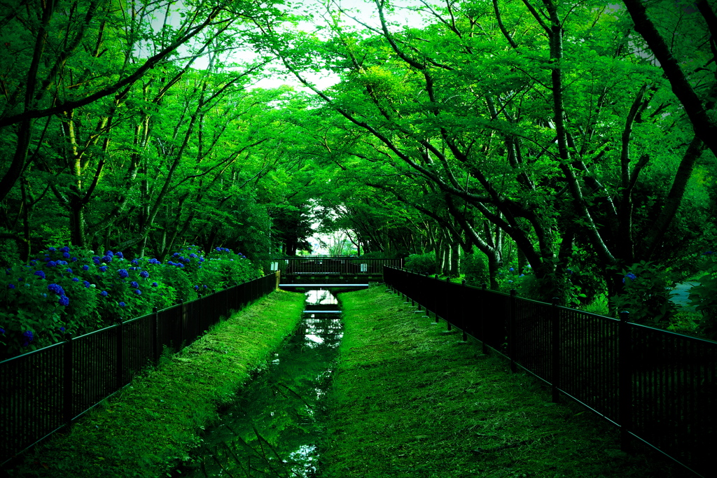 目に優しい風景