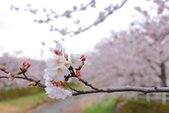 もうすこし