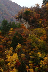 トンビ岩