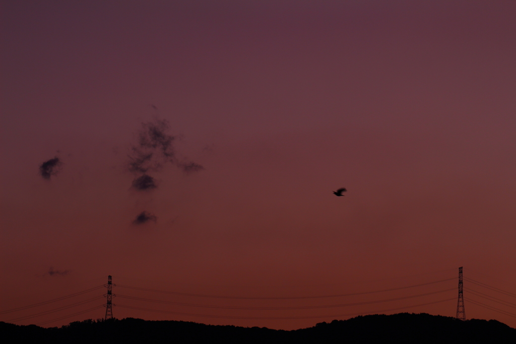 今日の空は⑥