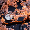 もうすぐ雨が・・・