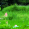 夢