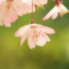 華街道