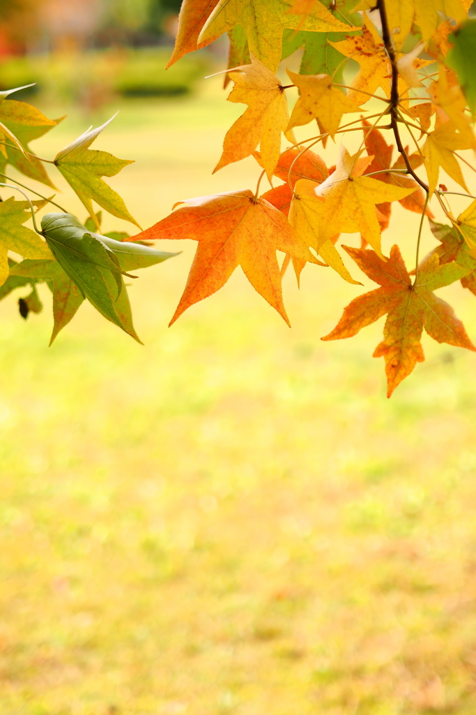 季節が替わる瞬間