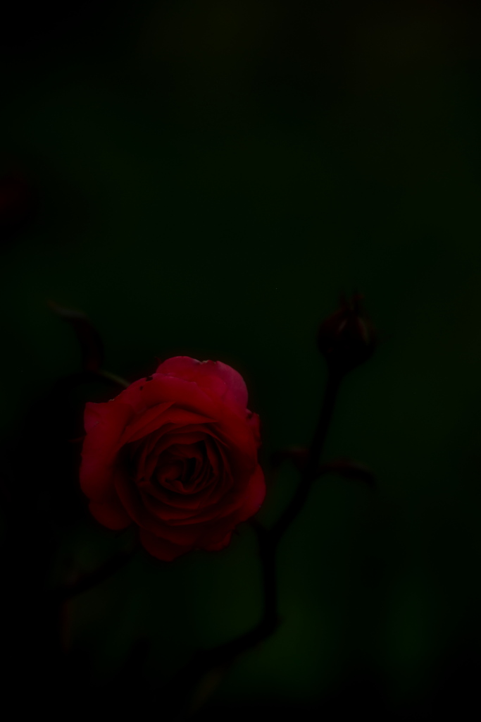 最愛