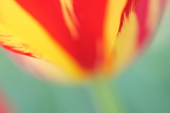 もっと遠くへ