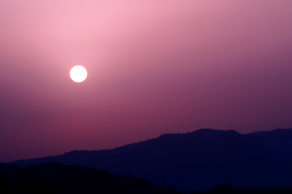 春色の夜明け