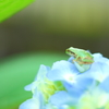飛ぶよ！僕だって・・・