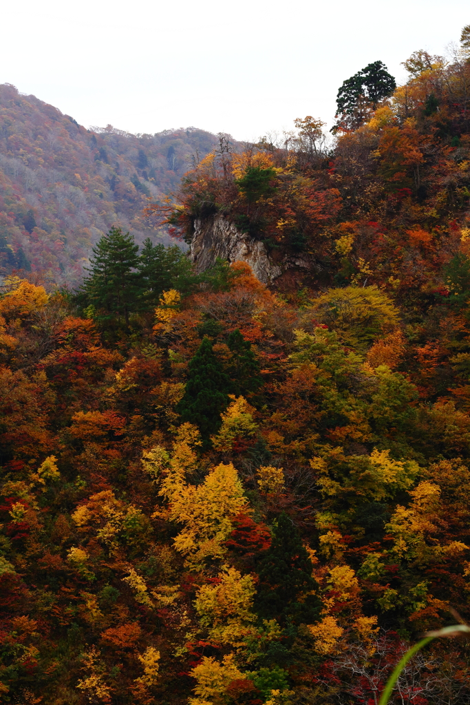 錦秋のトンビ岩